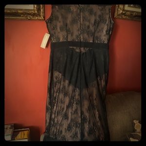 Size 12 NY and Company Dress. Brand New w/Tags